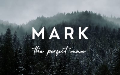 MARK THE PERFECT MAN – REV. DAVID BROWN