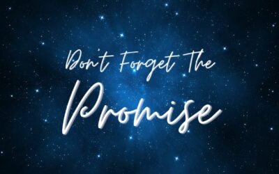 Don’t Forget The Promise – Minooka Campus Pastor Eric Schmidt