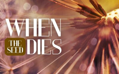 When the Seed Dies – Pastor Elijah Kiser